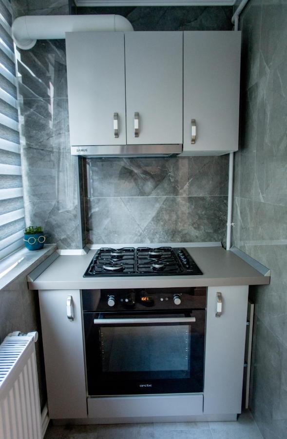 Loghin Residence Suceava Extérieur photo
