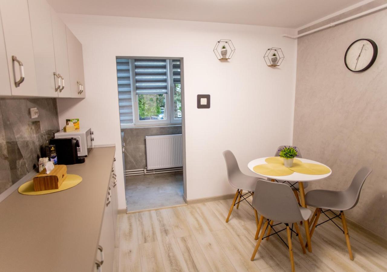 Loghin Residence Suceava Extérieur photo